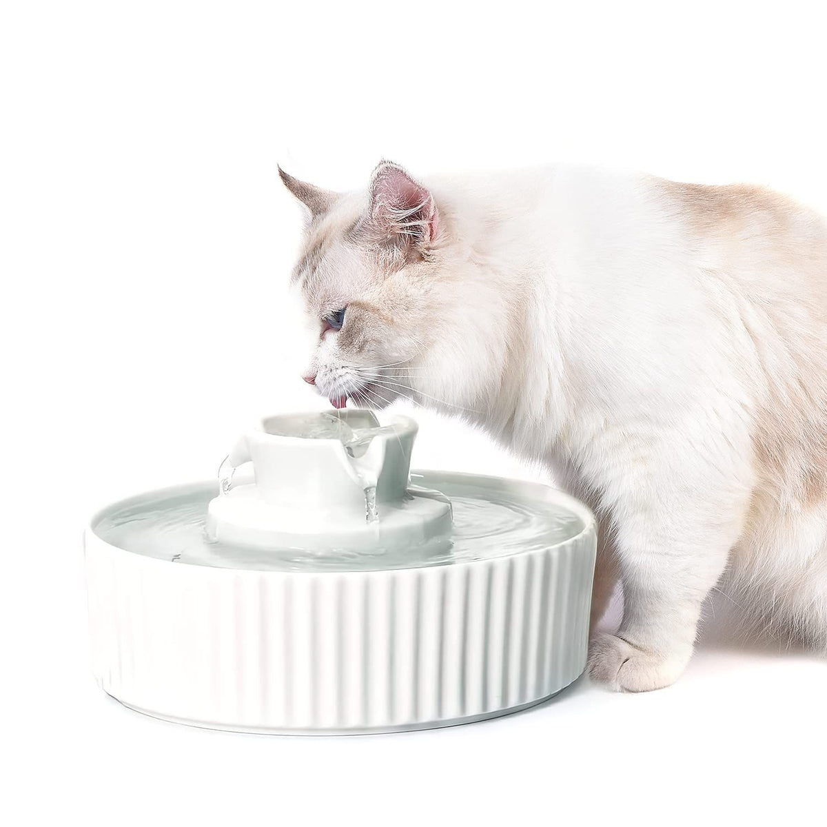 Ceramic Cat Water Fountain, Pet Ceramic Water Fountain Dispenser, 2.1 L Drinking Fountains Bowl for Cats and Dogs(White)