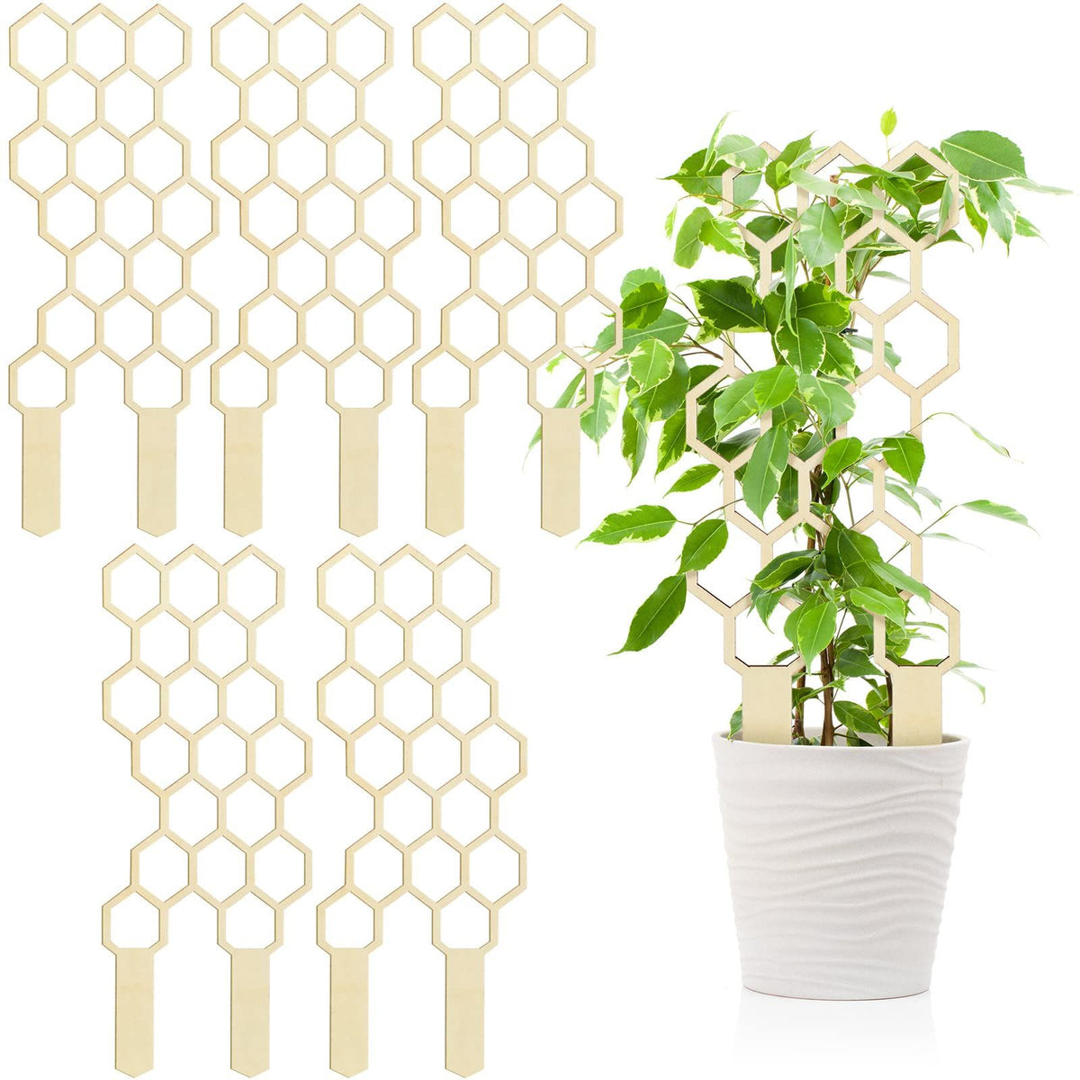 Small Wooden Trellis for Potted Climbing Plants 11.8 Inches Trellis Starter Holder for Indoor Outdoor Garden Decor (5 Pack)