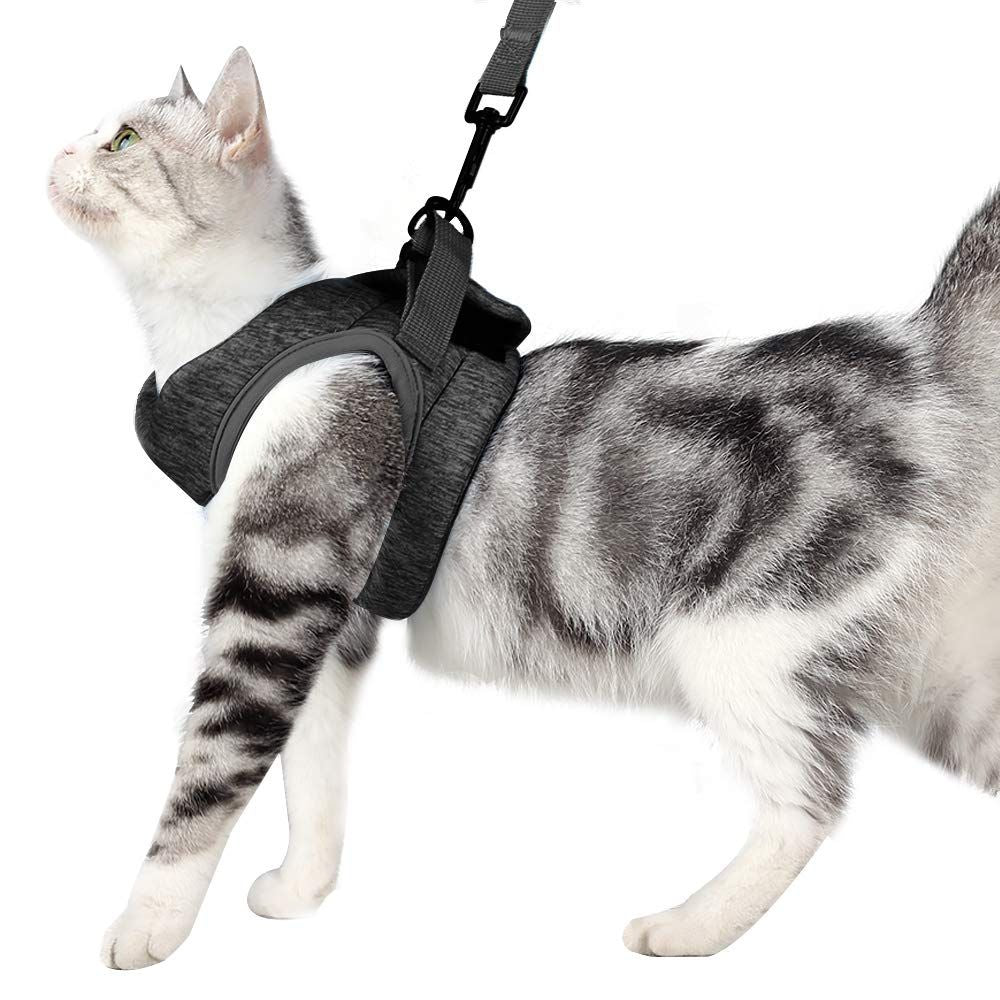 Cat Harness and Leash - Ultra Light Escape Proof Kitten Collar Cat Walking Jacket with Running Cushioning Soft