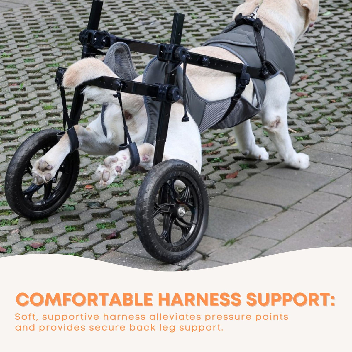 Rooster Farms Large Dog Wheelchair XL Harness - Adjustable Back Leg Aid