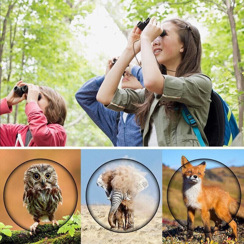 Day Night Vision Binoculars 30 X 60 Outdoor Travel Folding Telescope