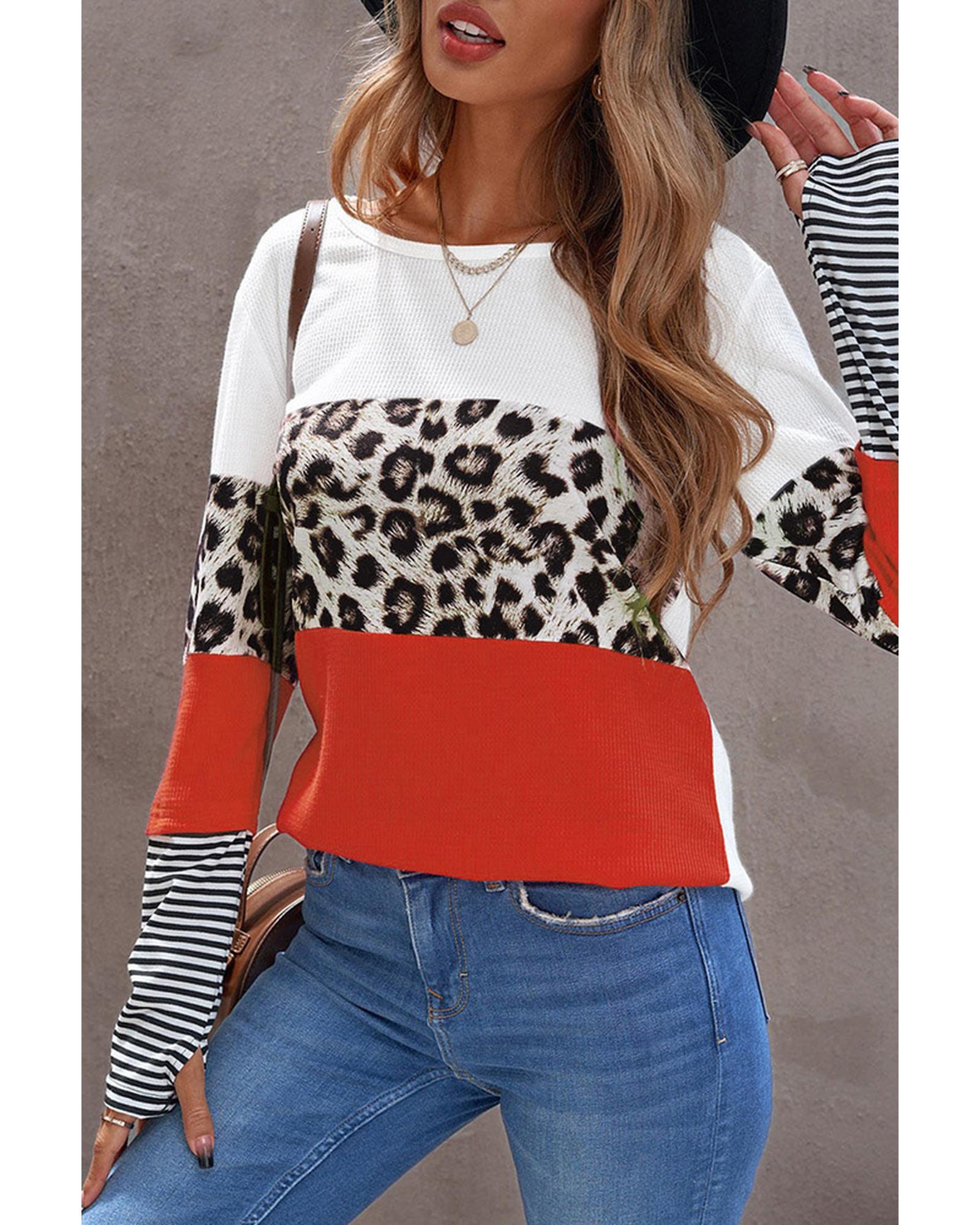 Azura Exchange Leopard Colorblock Long Sleeve Top - L