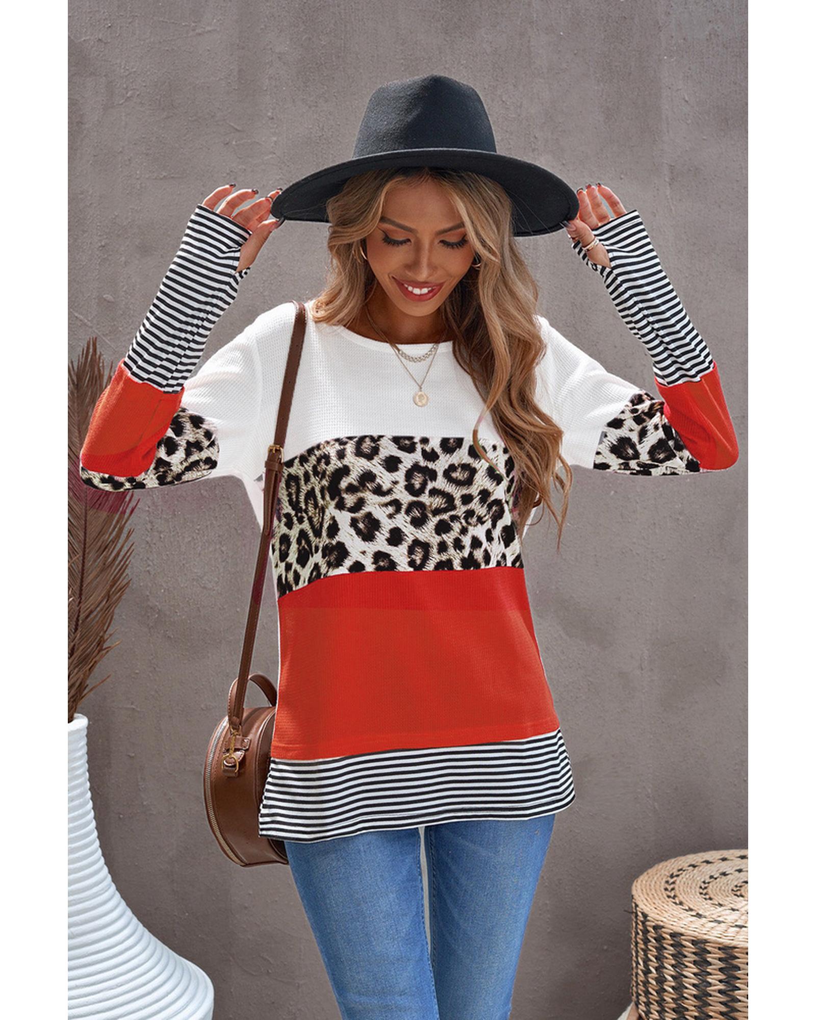 Azura Exchange Leopard Colorblock Long Sleeve Top - L