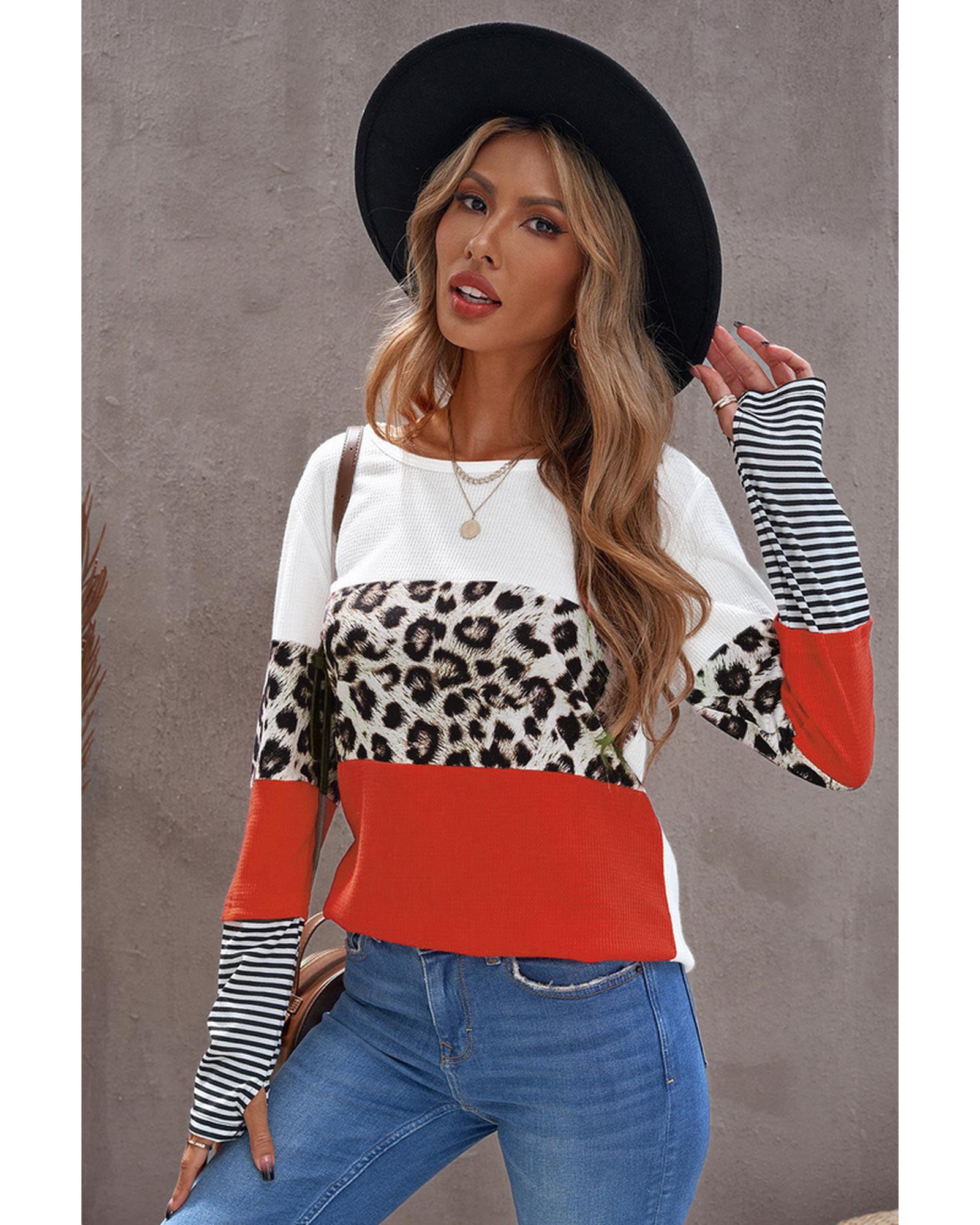 Azura Exchange Leopard Colorblock Long Sleeve Top - L