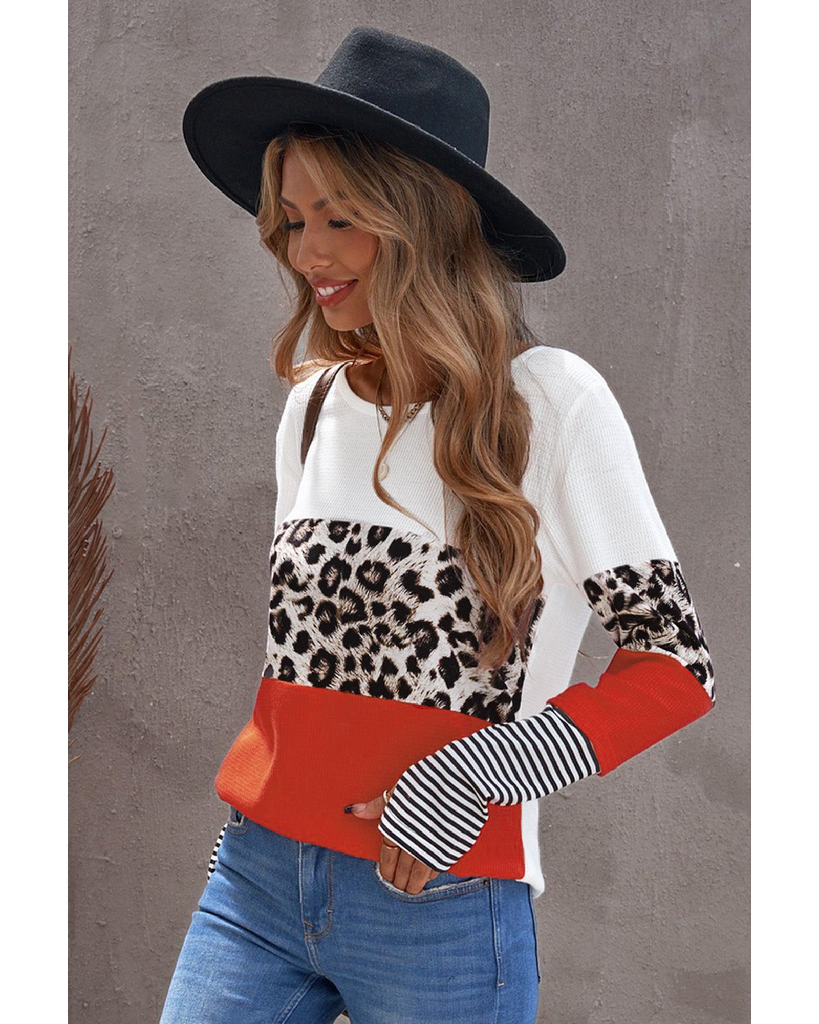 Azura Exchange Leopard Colorblock Long Sleeve Top - S