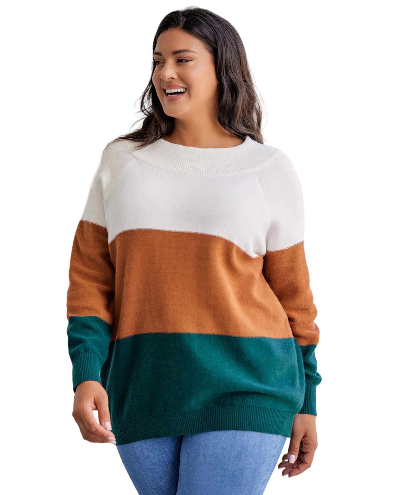 Brown Plus Size Ribbed Trim Color Block Sweater - 1X