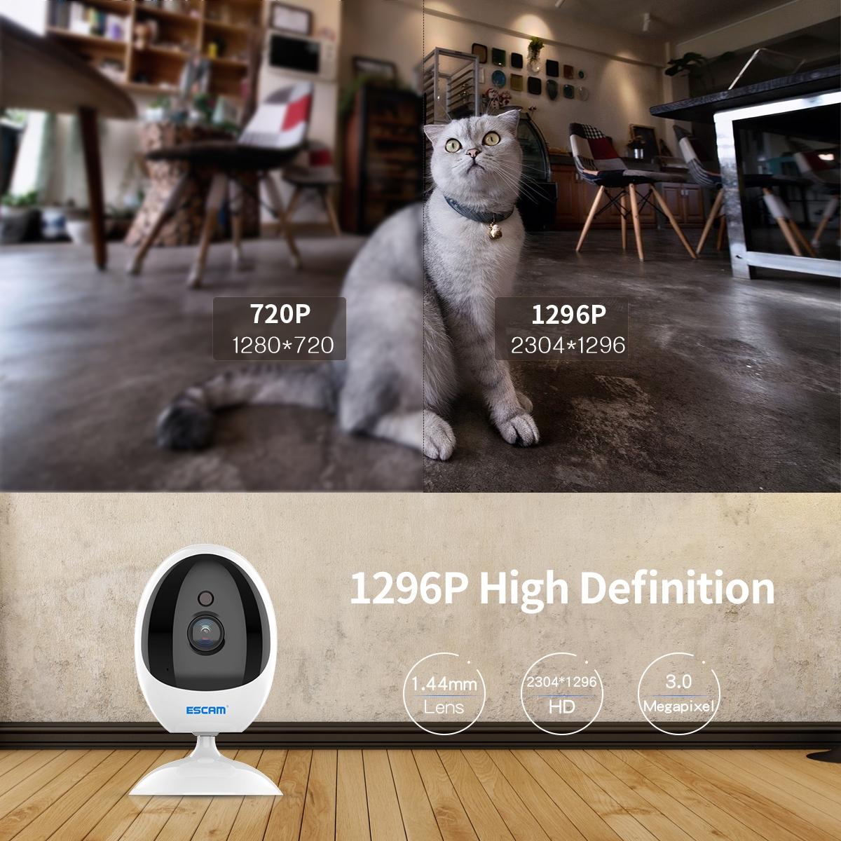 Wireless Indoor Ptz Camera With Ai Detection And Night Vision