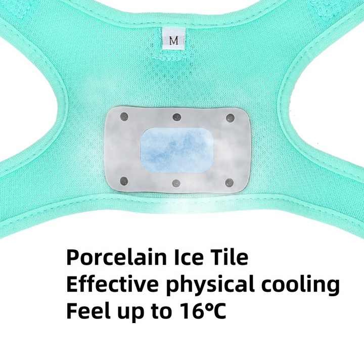 Size M Green Pet Cooling Harness LED Lights & Leash - Summer Relief for Small Dogs and Cats