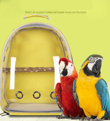Green Stylish Transparent PVC Pet Carrier Backpack - Large Capacity, Multi-Use for Birds & Cats(Including Wooden Stick)