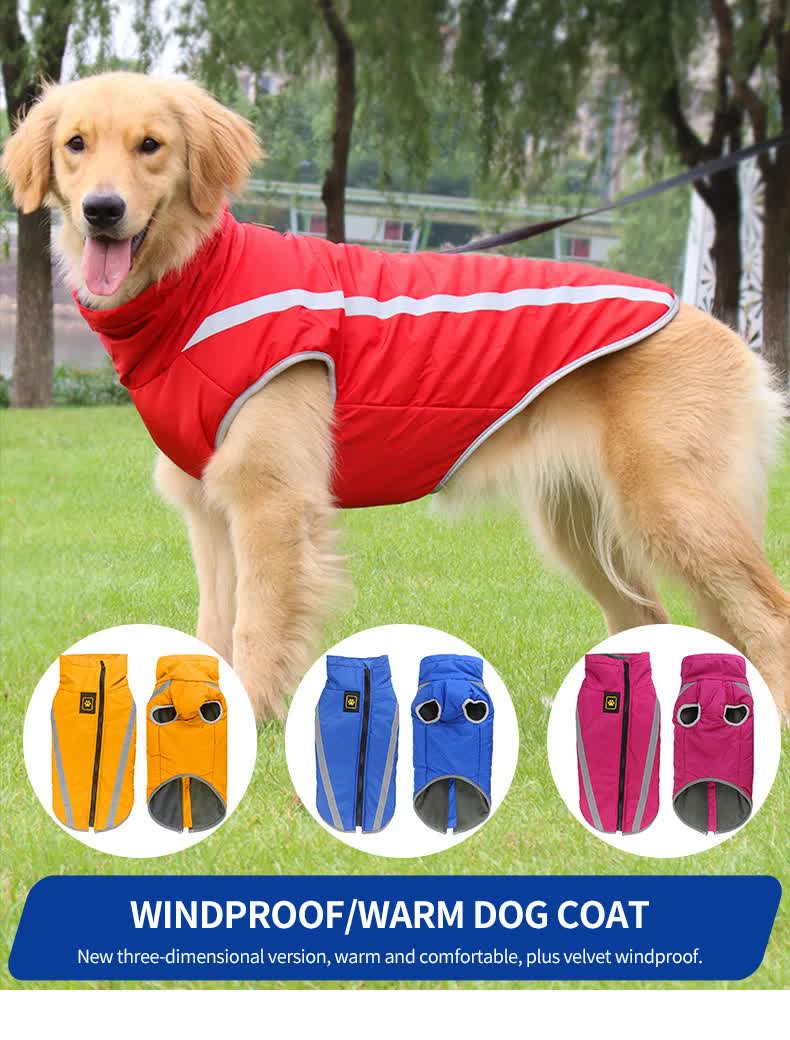 Size 2XL Blue Reflective Winter Dog Jacket - Warm & Waterproof Outdoor Coat for Large Breeds