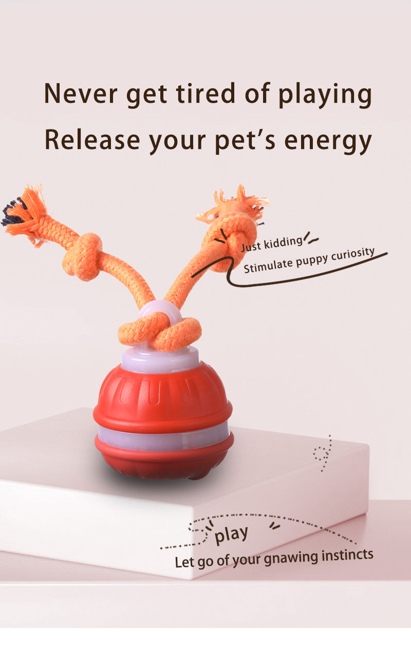 Orange 2- pcs Interactive Dog Toy - Self-Moving Ball with Rope, Boredom Buster