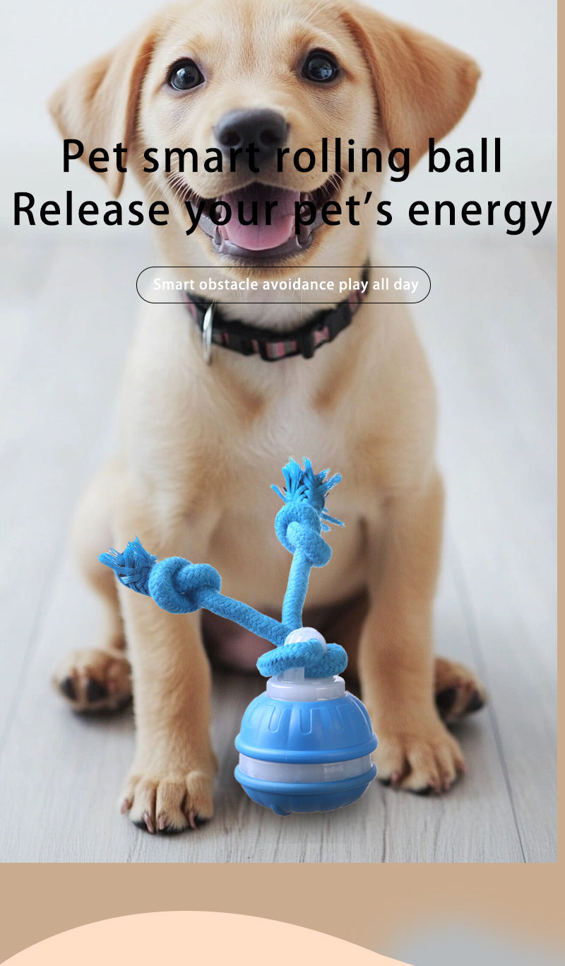 Blue 2-pcs Interactive Dog Toy - Self-Moving Ball with Rope, Boredom Buster