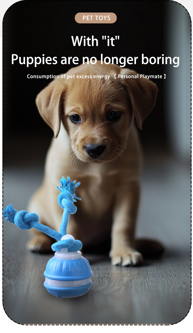 Blue 2-pcs Interactive Dog Toy - Self-Moving Ball with Rope, Boredom Buster