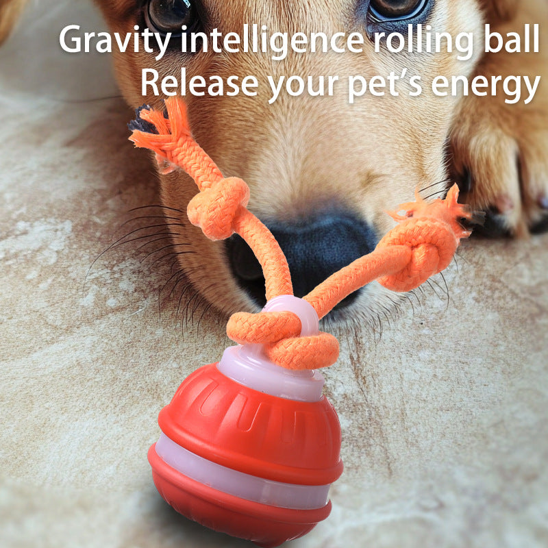 Orange 2-pcs Interactive Dog Toy - Self-Moving Ball with Rope, Boredom Buster (With Bird Calls)