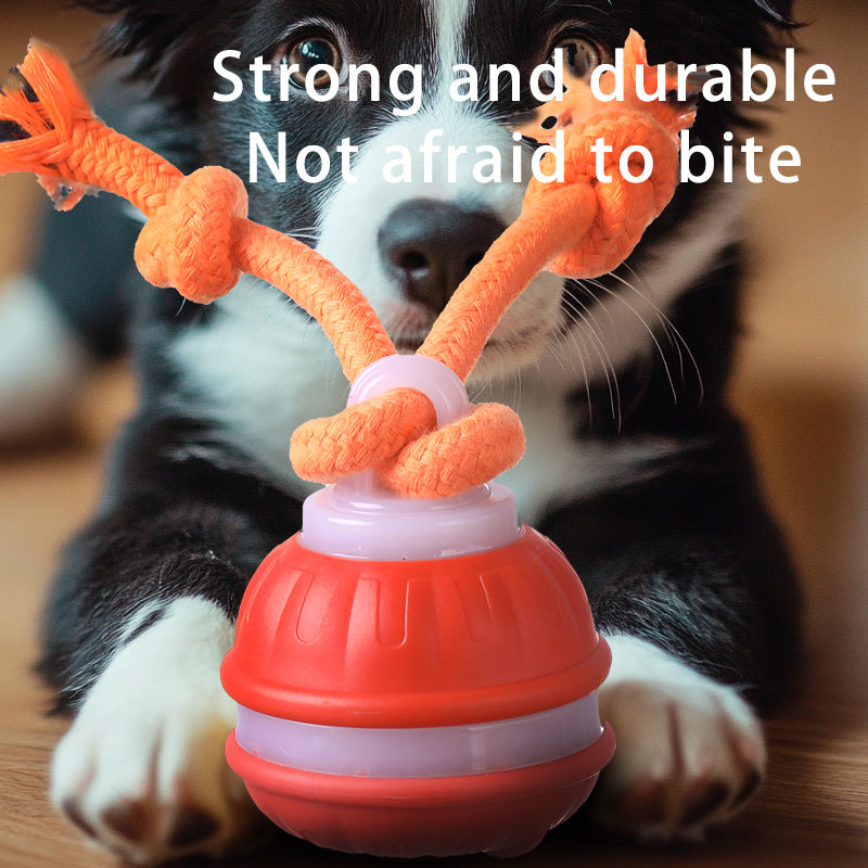 Orange 2-pcs Interactive Dog Toy - Self-Moving Ball with Rope, Boredom Buster (With Bird Calls)