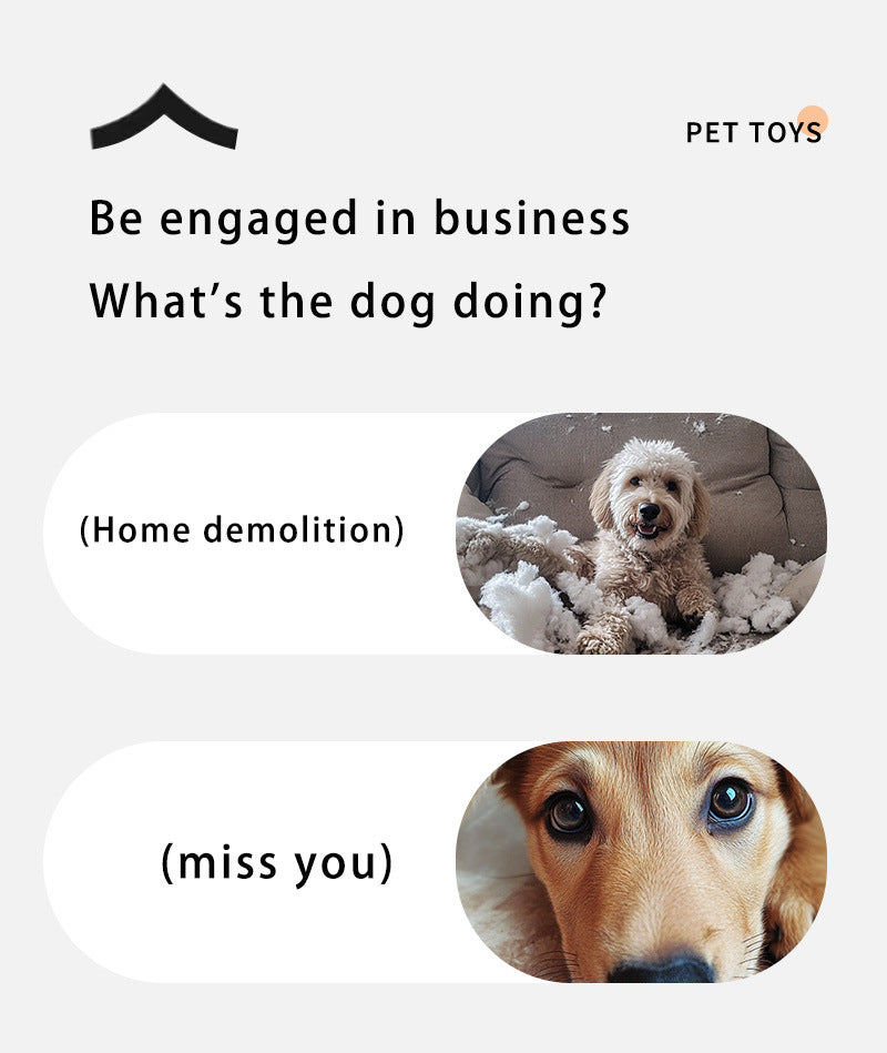 Orange 2-pcs Interactive Dog Toy - Self-Moving Ball with Rope, Boredom Buster (With Bird Calls)