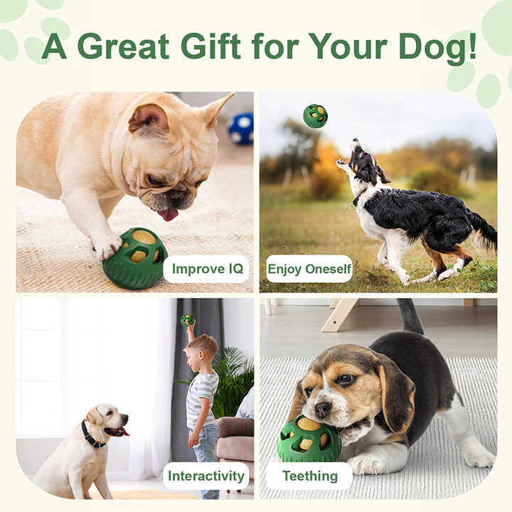 Green Ball and Yellow Mold Pet Treat Dispensing Ball and Molding Set - Silicone Dog Chew Toy for Teeth Cleaning and Boredom Relief