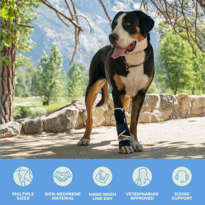 3 Pcs Size S Dark Blue Supportive Dog Leg Brace - Adjustable Carpal/Tarsal Splint for Injury & Arthritis Relief