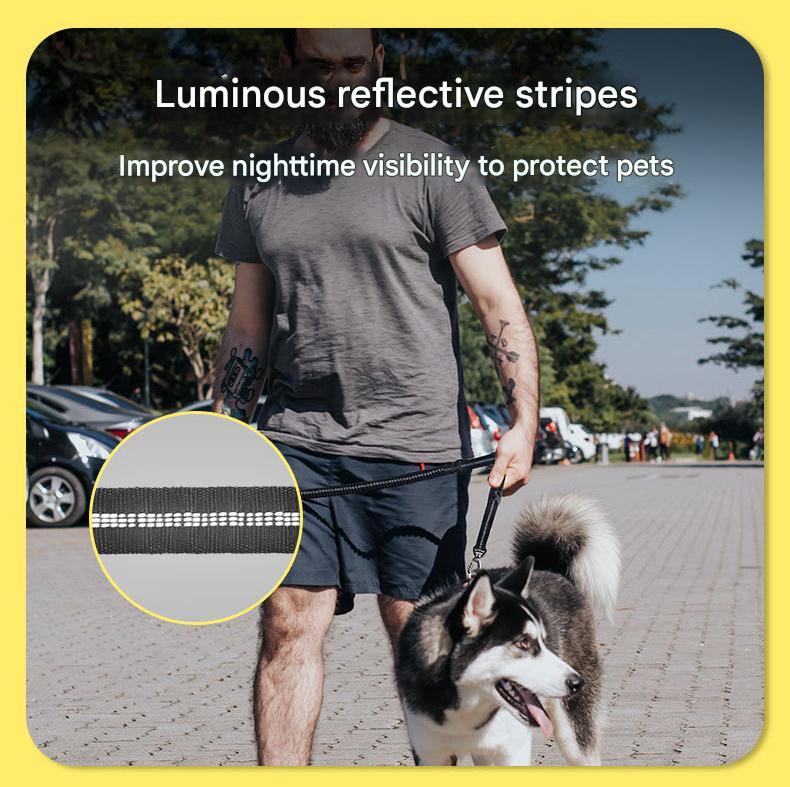 Blue Shock Absorbing Dog Leash with Reflective Stitching - 135cm for Small to Large Dogs