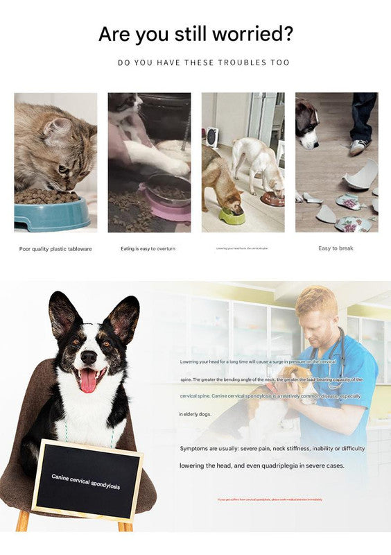 Elevated Pet Feeding Bowl with Stainless Steel Inner - Promotes Healthy Digestion & Reduces Neck Strain(Orange)