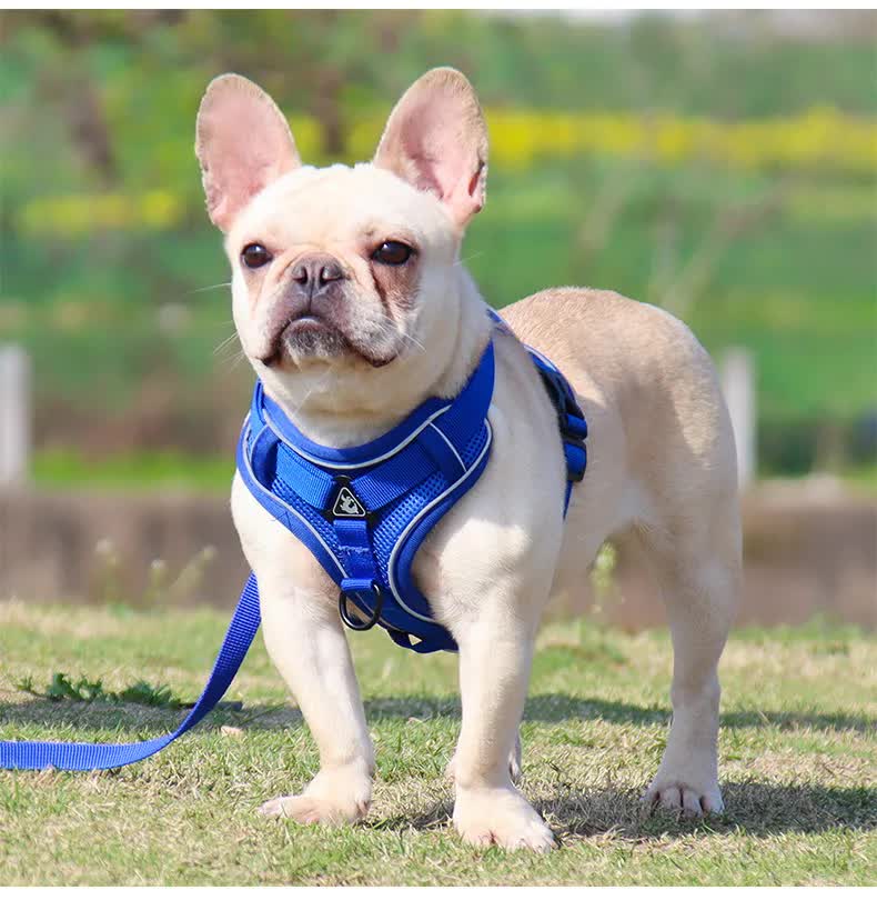 Blue Reflective Mesh Dog Harness and Leash Set - Adjustable No-Pull Vest - S