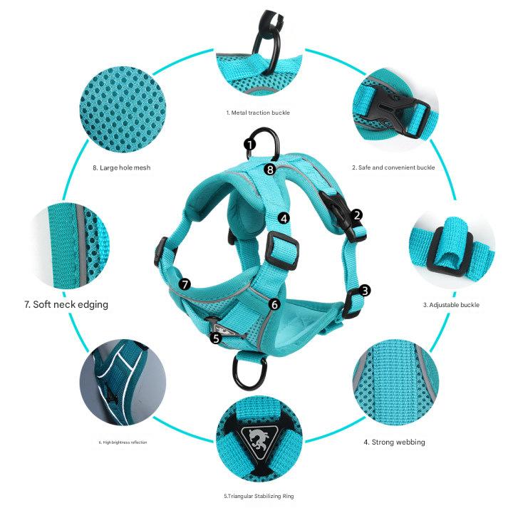 Blue Reflective Mesh Dog Harness and Leash Set - Adjustable No-Pull Vest - S