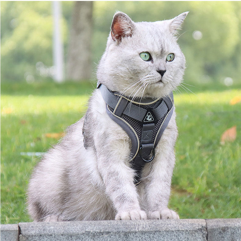 Grey Reflective Mesh Dog Harness and Leash Set - Adjustable No-Pull Vest - M