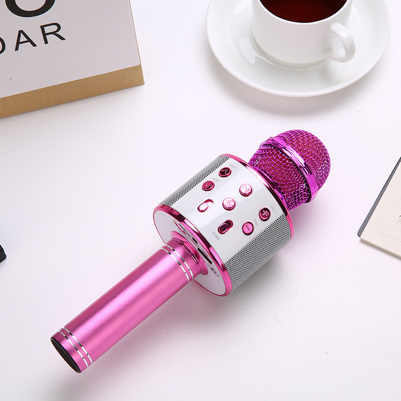 Rose red Bluetooth 5.0 Karaoke Microphone for Family Entertainment