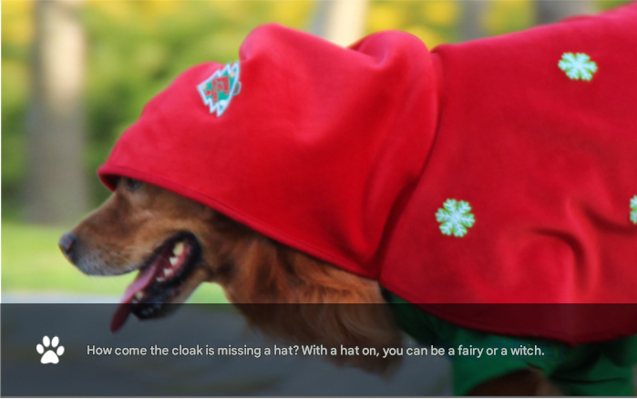 Christmas Dog Costume - Festive Hooded Cape & Green Jumpsuit Outfit (Size : 6XL)