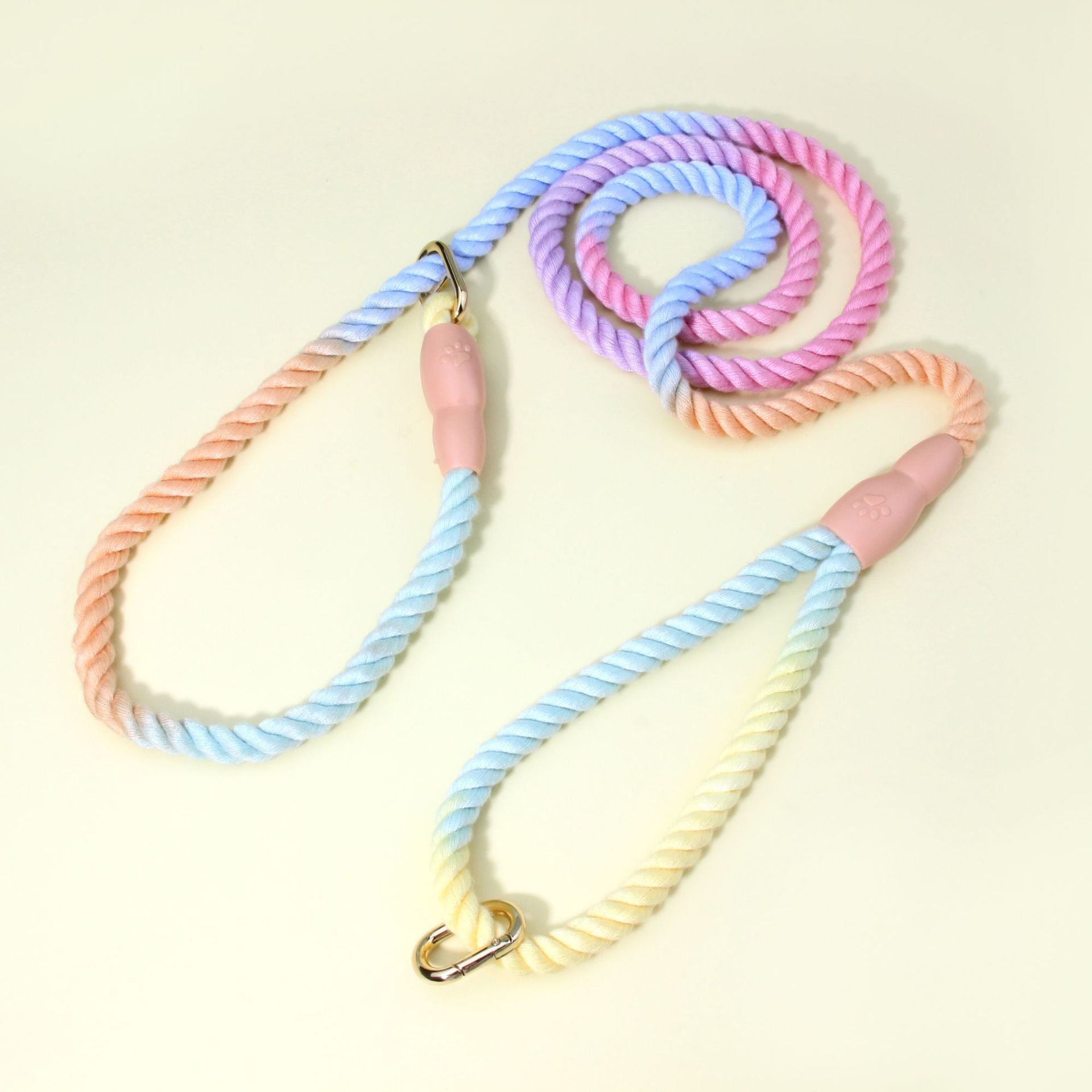Colorful Vibrant Rainbow Ombre Rope Dog Leash - Durable Nylon P-Chain Slip Lead for Small & Medium Breeds