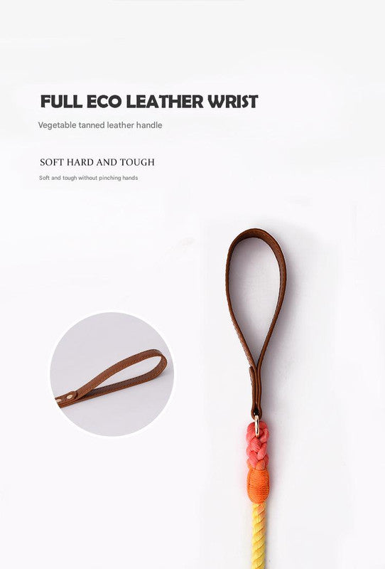 Premium Leather Pet Collar and Leash - Soft, Strong Braided Rope (Purple - Size M)