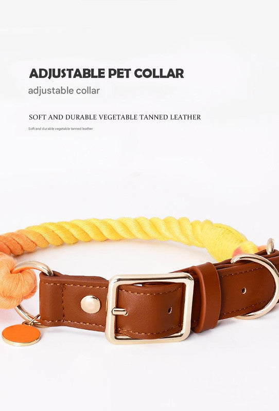 Premium Leather Pet Collar and Leash - Soft, Strong Braided Rope (Pink green - Size S)