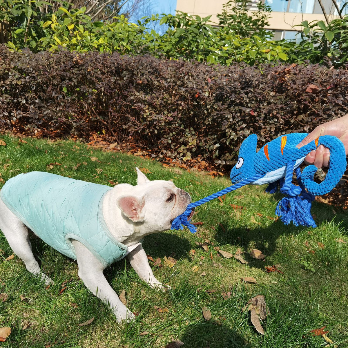 2 Pcs Blue Interactive Plush Chameleon Dog Toy with Squeaker & Rope Legs - Durable Chew Toy for Medium/Large Dogs, Teeth Cleaning Texture, Machine Washable (10.2in)