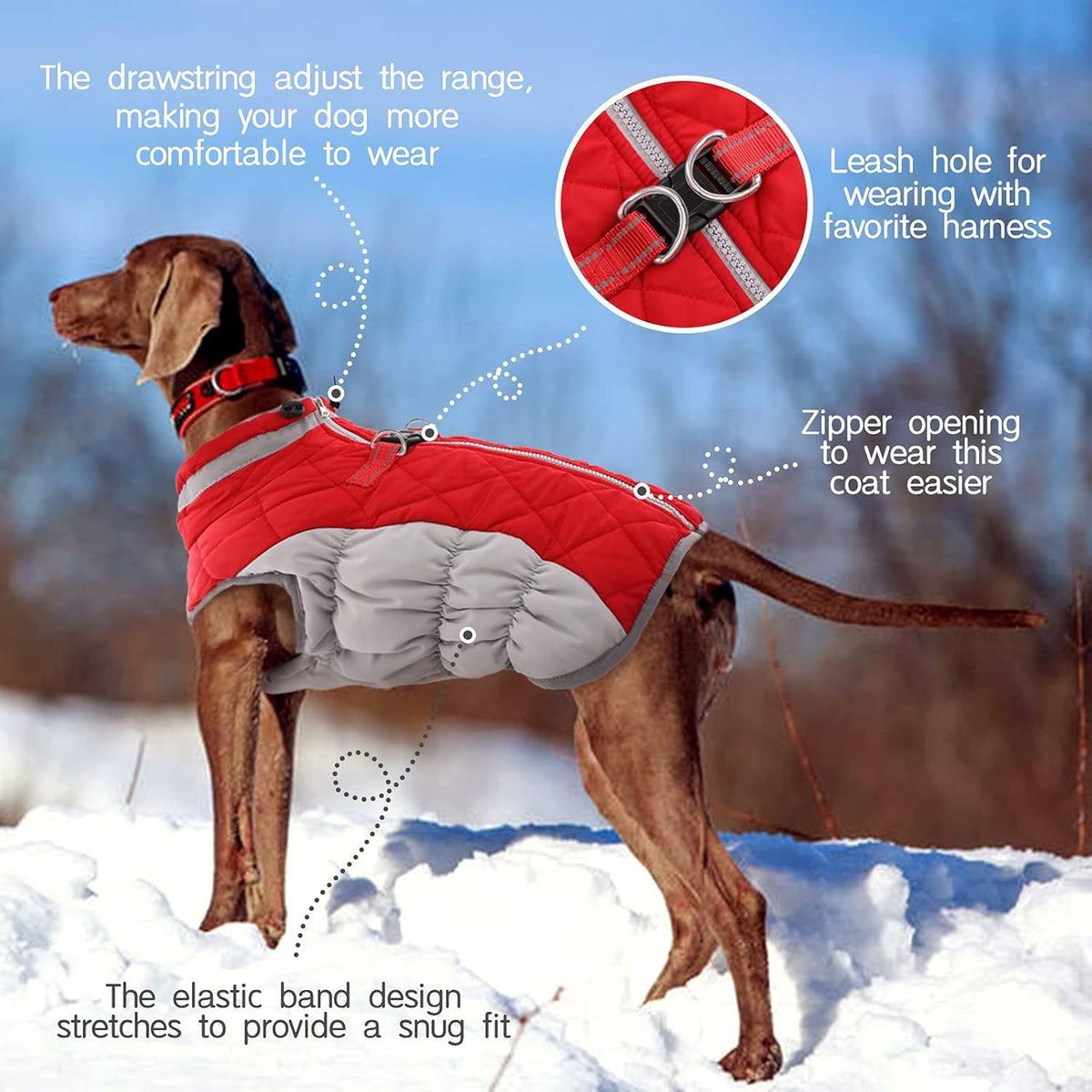 L Red Grey Premium Winter Puffer Dog Coat - Windproof & Fleece-Lined Jacket for Cold Weather