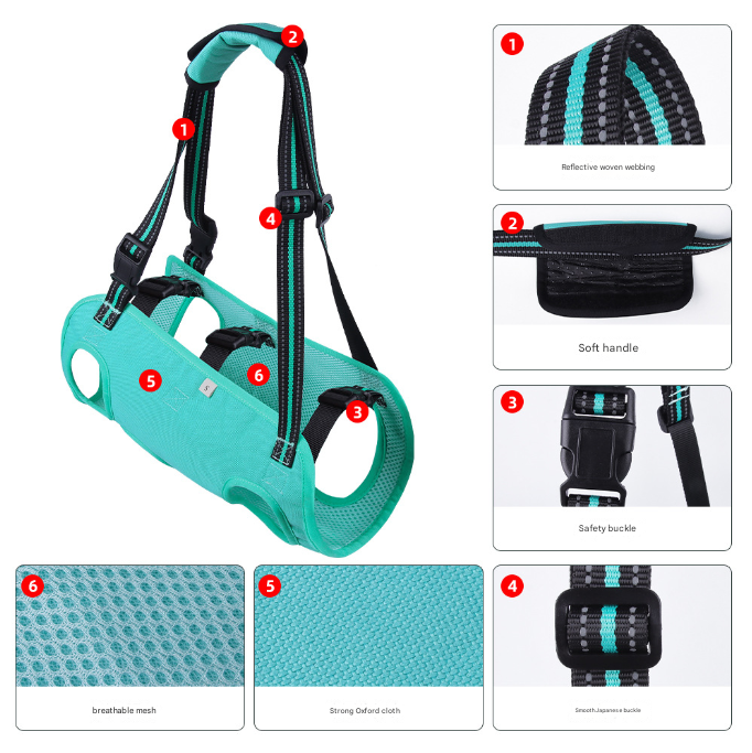 Green Pet Support Harness for Senior and Disabled Dogs - Adjustable Chest and Back Support Leash(Size L)