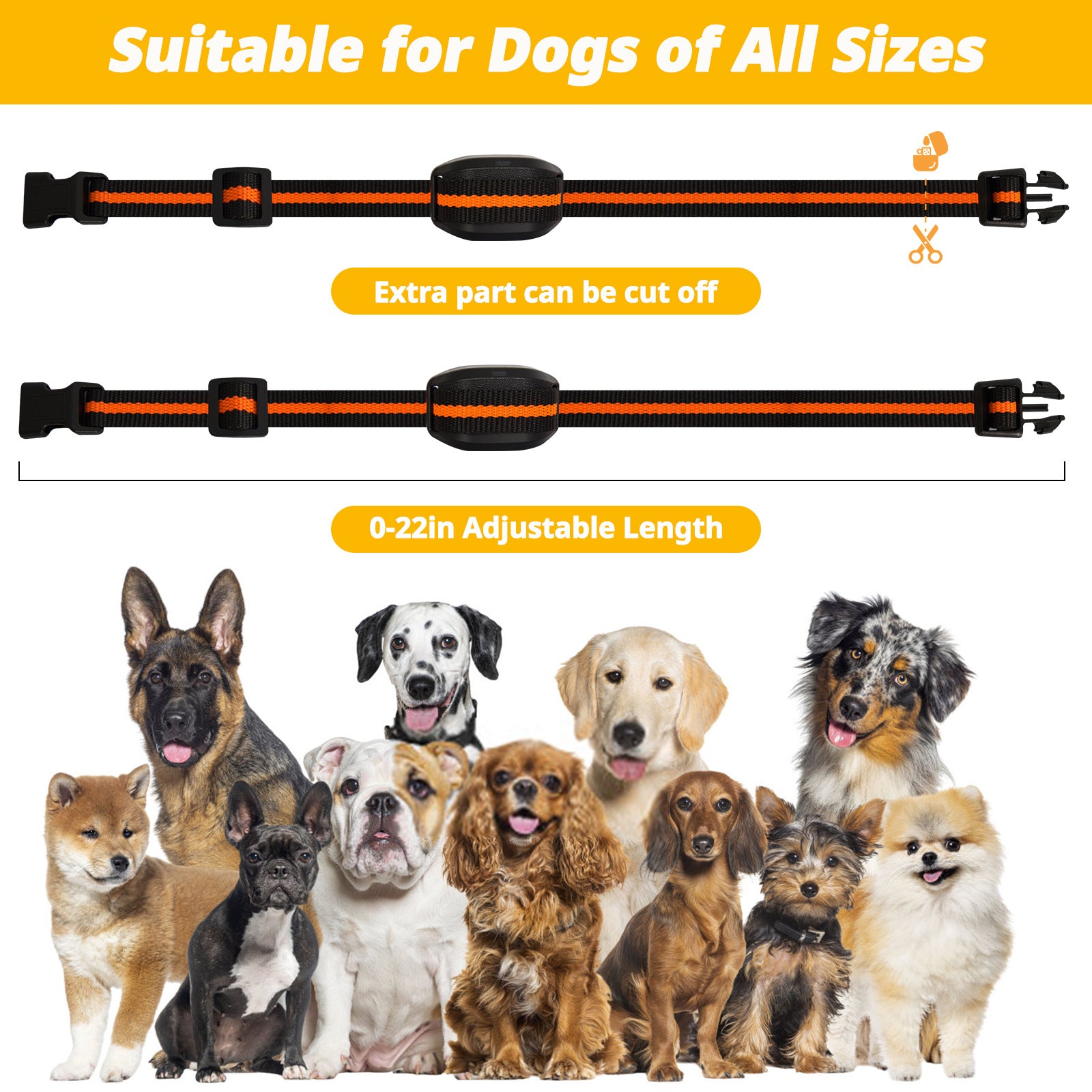 Ultra-Small & Lightweight Dog Training Collar with Remote - 3 Modes, Adjustable Levels, Fits All Sizes(black)