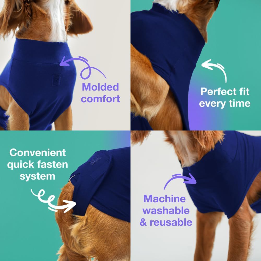 XL Blue Premium Pet Physiological Suit - Comfortable & Breathable Bamboo Modal Recovery Suit