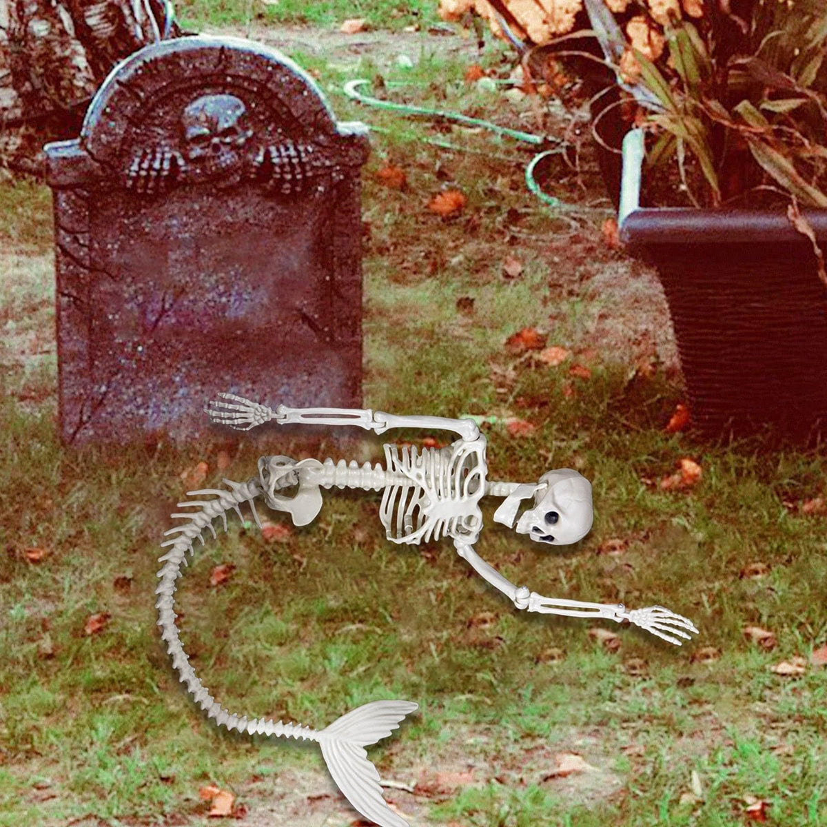 Halloween 31.5 inch Poseable Mermaid Skeleton Prop Haunted Decor