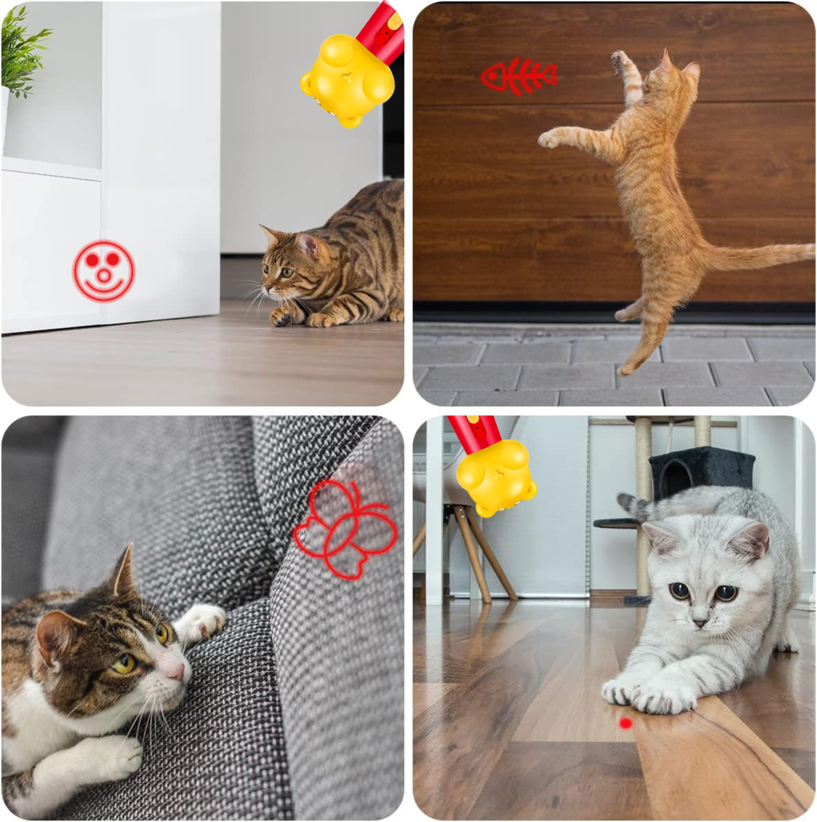 Purple Bear Laser Cat Toy Set - 2 Piece USB Rechargeable Multi Pattern Laser Pointer with UV and White Light for Cats