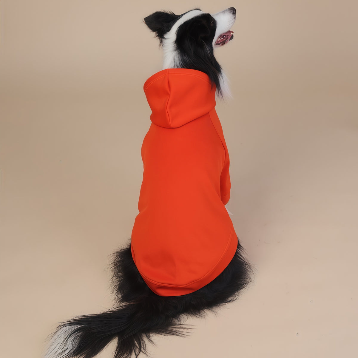 Orange Classic Dog Sweatshirt with Hood & Drawstrings - For Large Dogs (Size : 4XL)