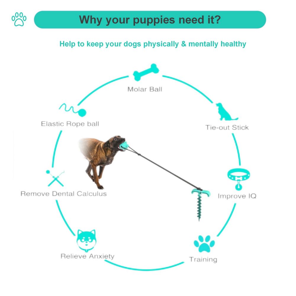 Portable Dog Tie-out Stick Set Outdoor Interactive Tug of War Toy