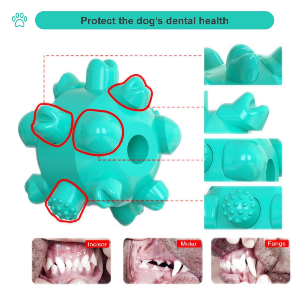 Portable Dog Tie-out Stick Set Outdoor Interactive Tug of War Toy