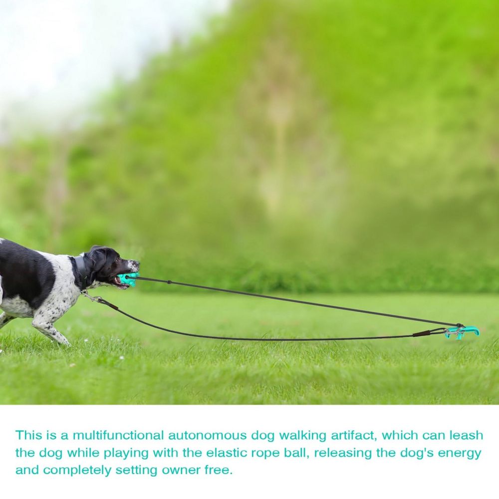 Portable Dog Tie-out Stick Set Outdoor Interactive Tug of War Toy