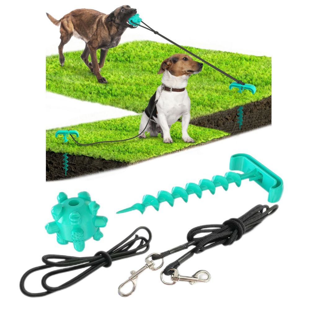 Portable Dog Tie-out Stick Set Outdoor Interactive Tug of War Toy