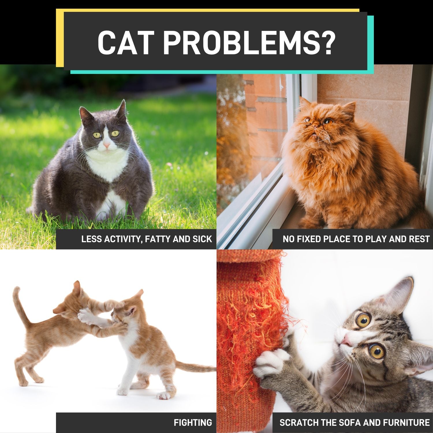 Cat Tree (138cm Dark Grey) - PT-CT-134-RN