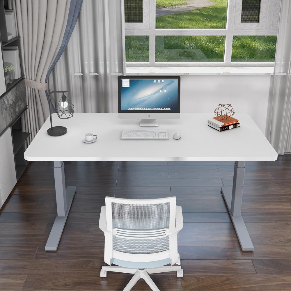 120cm Standing Desk Height Adjustable Sit White Stand Motorised Dual Motors Frame Birch Top