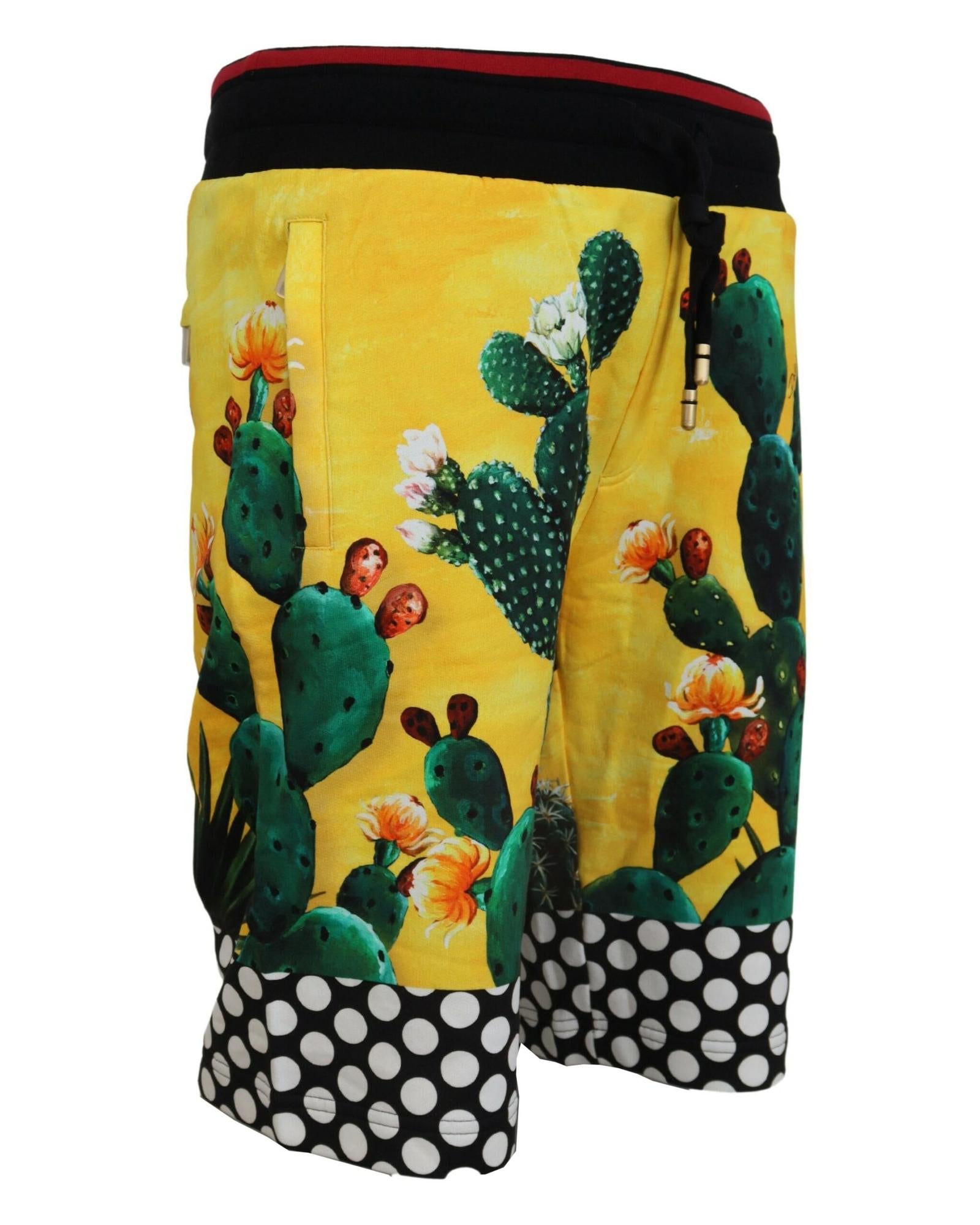 Authentic Dolce &amp; Gabbana Multicolor Cactus Print Sweat Shorts 46 IT Men