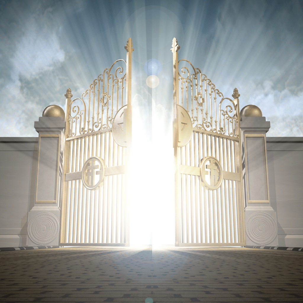 Gate Openers