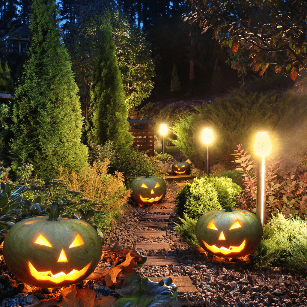 Garden Lights