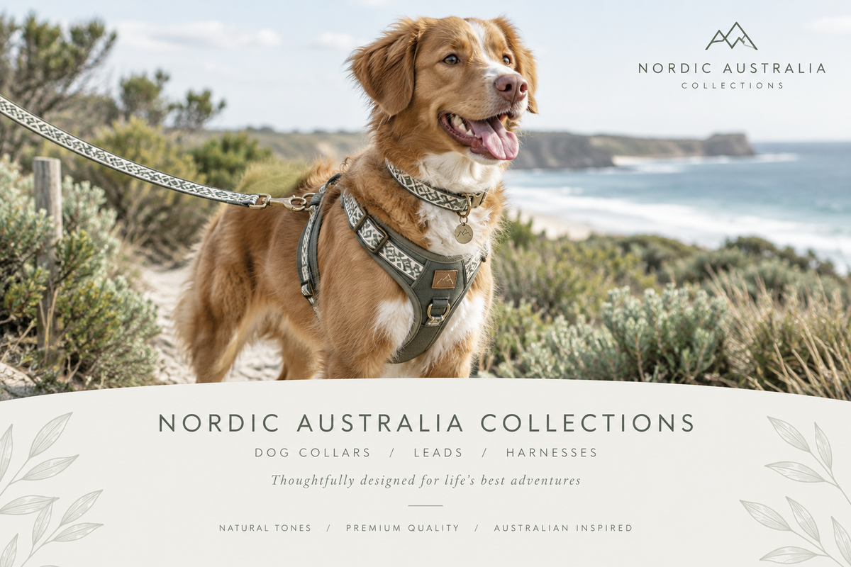 Dog Collars, Leads & Harnesses Australia
